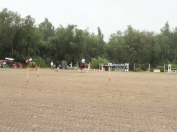 IMG_5494_web